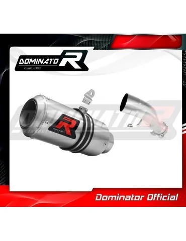 Silencieux slip-on Dominator GP pour Yamaha FZ1 Fazer 1000 (2006-2015)