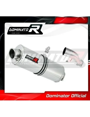 Silencieux slip-on Dominator OV pour Yamaha FZ1 Fazer 1000 (2006-2015)