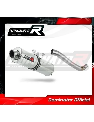 Silencieux slip-on Dominator ST pour Suzuki DR 650 SE / S (1996-2024)