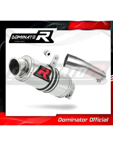 Silencieux slip-on Dominator GP1 pour Suzuki SV 650 S (1999-2002)