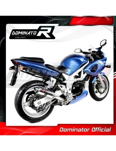 Silencieux slip-on Dominator GP1 pour Suzuki SV 650 S (1999-2002)