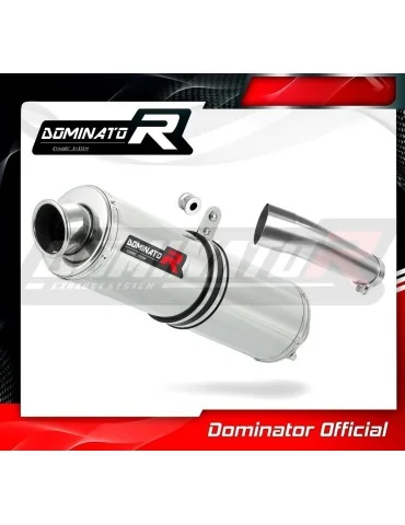 Silencieux slip-on Dominator ST pour Suzuki SV 650 N (1999-2002)