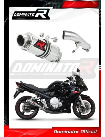 Silencieux slip-on Dominator GP1 pour Suzuki GSXF 650 (2007-2016)
