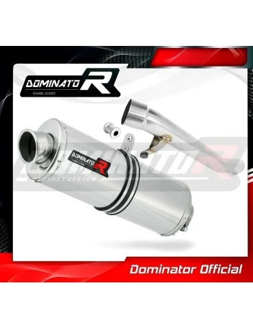 Silencieux slip-on Dominator OV pour Suzuki GSX 1200 Inazuma (1999-2000)