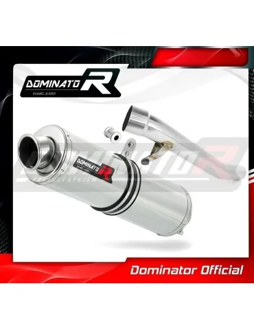 Silencieux slip-on Dominator ST pour Suzuki GSX 1200 Inazuma (1999-2000)
