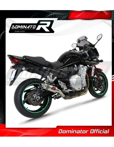 Silencieux slip-on Dominator GP1 pour Suzuki GSF 1250 N / S Bandit (2007-2016)