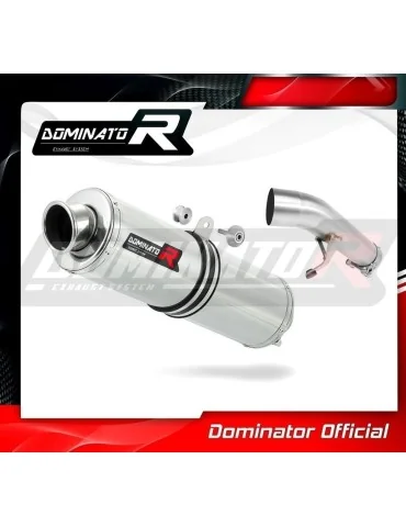 Silencieux slip-on Dominator ST pour Suzuki GSF 1250 N / S Bandit (2007-2016)