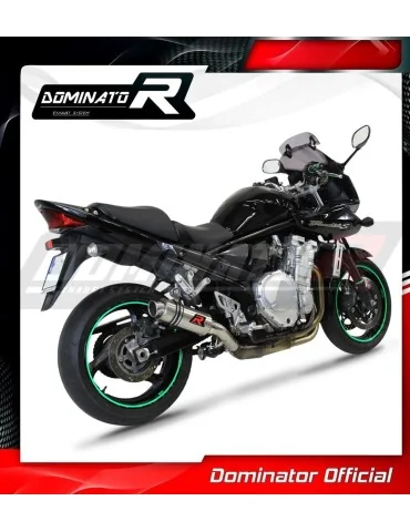 Silencieux slip-on Dominator GP1 pour Suzuki GSF 650 Bandit N / S (2007-2016)