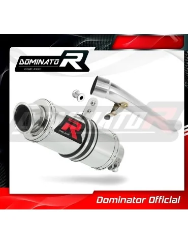 Silencieux slip-on Dominator GP1 pour Suzuki GSF 650 Bandit N / S (2005-2006)