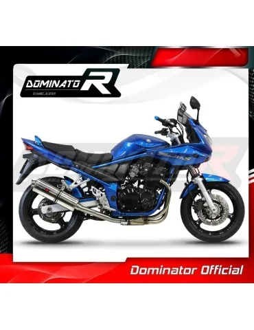 Silencieux slip-on Dominator OV pour Suzuki GSF 650 Bandit N / S (2005-2006)