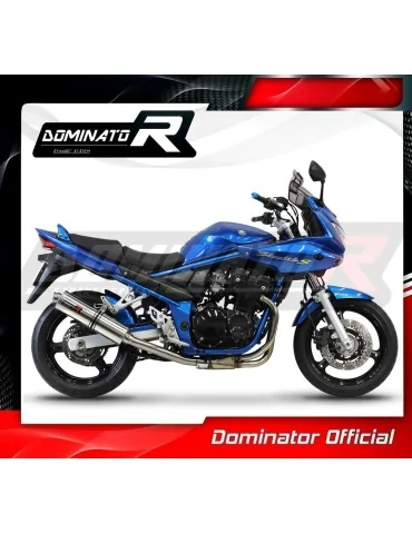 Silencieux slip-on Dominator ST pour Suzuki GSF 650 Bandit N / S (2005-2006)