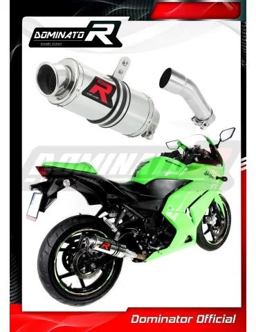 Silencieux slip-on Dominator GP1 pour Kawasaki ZX250R (2008-2012)