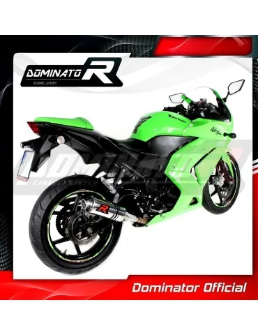 Silencieux slip-on Dominator GP1 pour Kawasaki ZX250R (2008-2012)