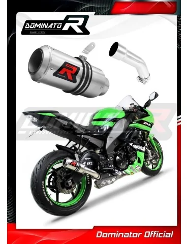 Silencieux slip-on Dominator GP pour Kawasaki ZX10R (2008-2010)