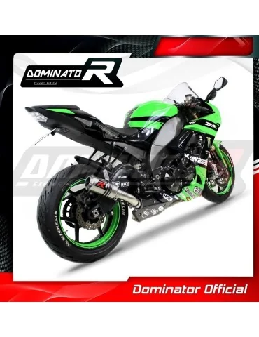 Silencieux slip-on Dominator GP pour Kawasaki ZX10R (2008-2010)
