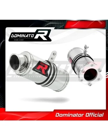 Silencieux bolt-on Dominator GP1 pour Kawasaki ZRX 1200 (2001-2007)