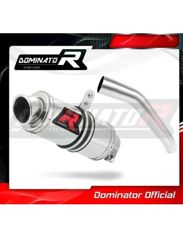 Silencieux slip-on Dominator GP1 pour Kawasaki Z750 (2007-2012)