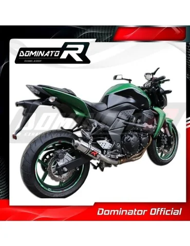 Silencieux slip-on Dominator GP1 pour Kawasaki Z750 (2007-2012)