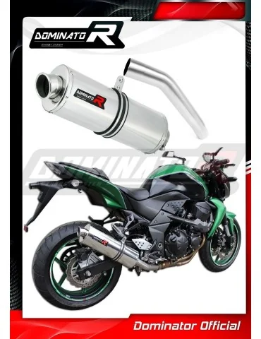 Silencieux slip-on Dominator OV pour Kawasaki Z750 (2007-2012)