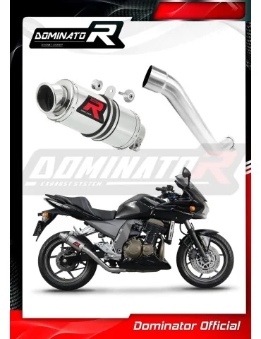 Silencieux slip-on Dominator GP1 pour Kawasaki Z750 (2004-2006)