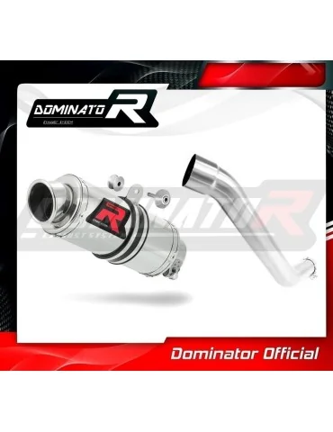 Silencieux slip-on Dominator GP1 pour Kawasaki Z750 (2004-2006)