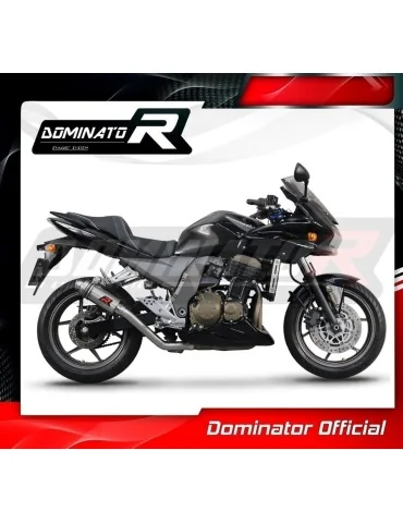 Silencieux slip-on Dominator GP1 pour Kawasaki Z750 (2004-2006)