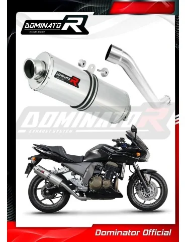 Silencieux slip-on Dominator OV pour Kawasaki Z750 (2004-2006)