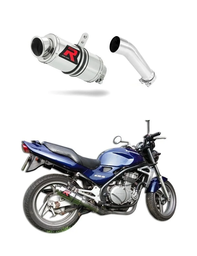Silencieux slip-on Dominator GP1 pour Kawasaki ER 5 500 (1996-2006)