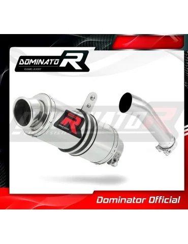 Silencieux slip-on Dominator GP1 pour Kawasaki ER 5 500 (1996-2006)