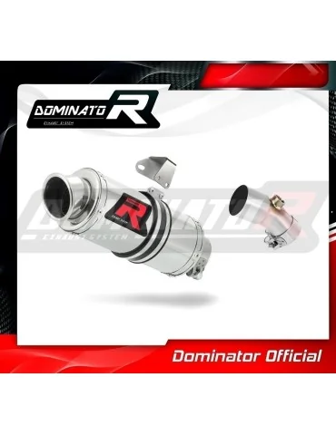 Silencieux slip-on Dominator GP1 pour Kawasaki ER - 6 N / F 650 (2009-2011)
