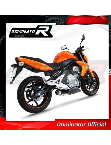Silencieux slip-on Dominator GP1 pour Kawasaki ER - 6 N / F 650 (2009-2011)