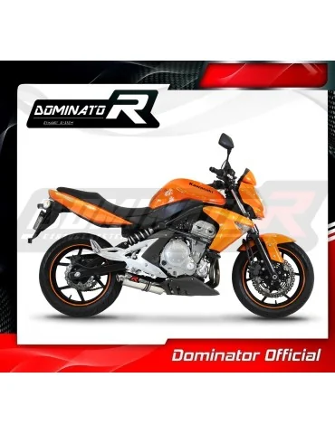 Silencieux slip-on Dominator OV pour Kawasaki ER - 6 N / F 650 (2009-2011)
