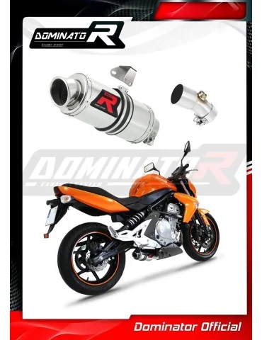 Silencieux slip-on Dominator GP1 pour Kawasaki ER - 6 N / F 650 (2006-2008)