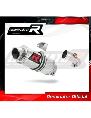 Silencieux slip-on Dominator GP1 pour Kawasaki ER - 6 N / F 650 (2006-2008)