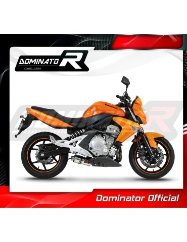 Silencieux slip-on Dominator GP1 pour Kawasaki ER - 6 N / F 650 (2006-2008)