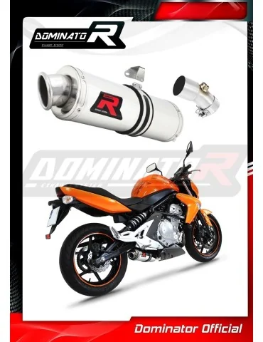 Silencieux slip-on Dominator OV pour Kawasaki ER - 6 N / F 650 (2006-2008)