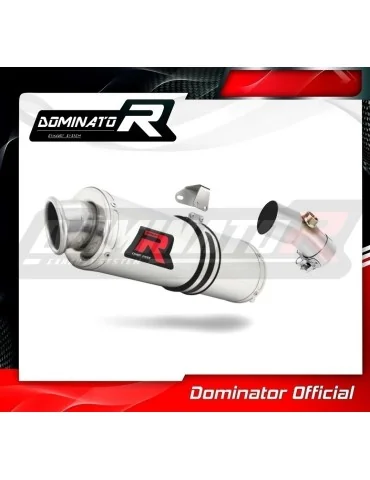 Silencieux slip-on Dominator OV pour Kawasaki ER - 6 N / F 650 (2006-2008)