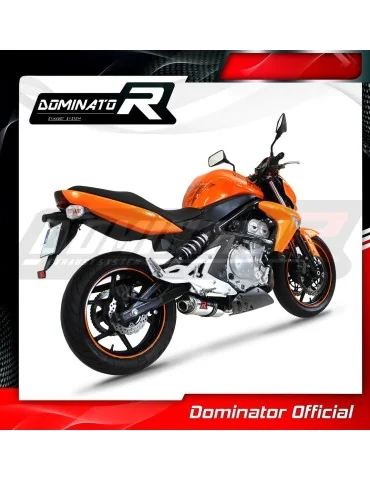 Silencieux slip-on Dominator OV pour Kawasaki ER - 6 N / F 650 (2006-2008)