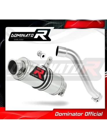 Silencieux slip-on Dominator GP1 pour Honda XL 650 V Transalp (2001-2007)