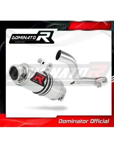 Silencieux slip-on Dominator GP1 pour Honda NT 650 V Deauville RC47 (1998-2005)