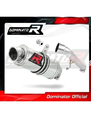 Silencieux slip-on Dominator GP1 pour Honda CBR 600 F4 (1999-2000)