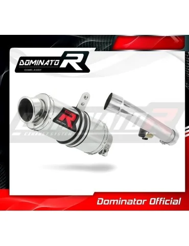 Silencieux slip-on Dominator GP1 pour Honda CBR 600 F2 / F3 (1991-1998)