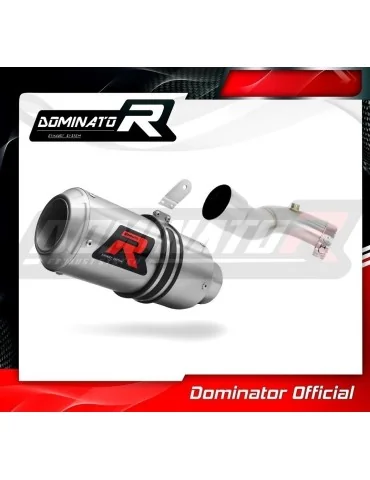Silencieux slip-on Dominator GP pour Honda CBR 1000RR (2008-2013)