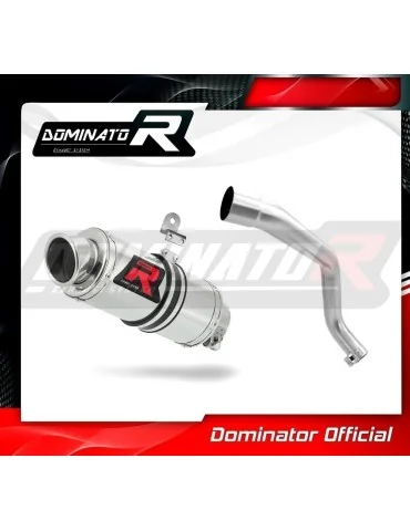 Silencieux slip-on Dominator GP1 pour Honda CB 600F Hornet (1998-2002)