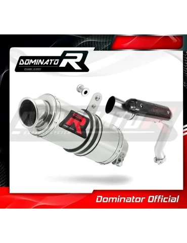 Silencieux slip-on homologué Dominator GP1 pour Honda CB 600F Hornet (2003-2006)