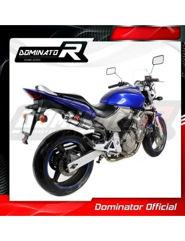 Silencieux slip-on homologué Dominator GP1 pour Honda CB 600F Hornet (2003-2006)
