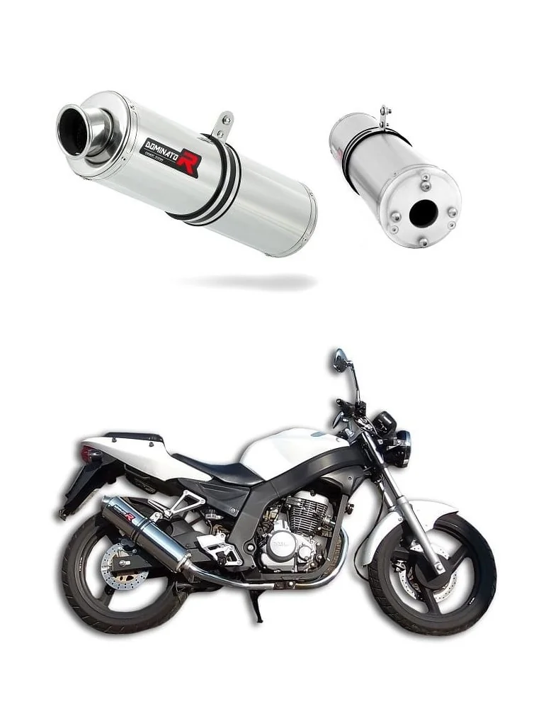 Silencieux bolt-on Dominator ST pour Daelim VJF Roadwin 125
