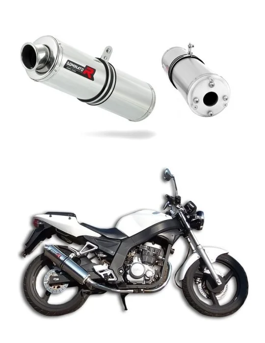 Silencieux bolt-on Dominator ST pour Daelim VJF Roadwin 125
