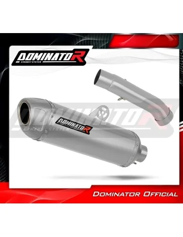 Silencieux slip-on Dominator S6 pour BMW F900 GS (2024-2026)