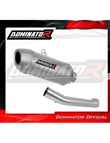 Silencieux slip-on Dominator S6 Shorty pour Yamaha YZF R1 1000 RN01 (1998-1999)